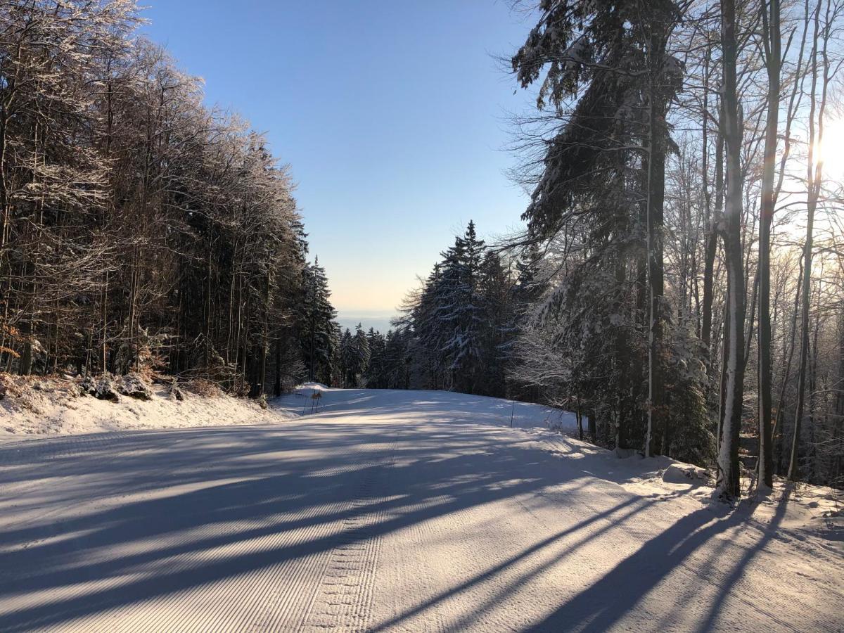 Zgornje Hoce Chalet Anra Pohorje מראה חיצוני תמונה
