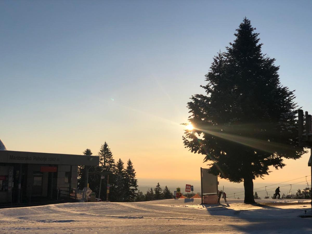 Zgornje Hoce Chalet Anra Pohorje מראה חיצוני תמונה