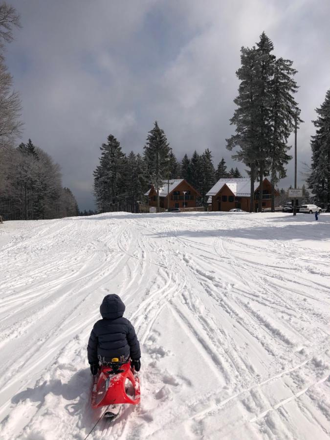 Zgornje Hoce Chalet Anra Pohorje מראה חיצוני תמונה