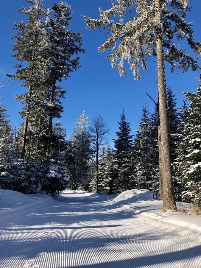 Zgornje Hoce Chalet Anra Pohorje מראה חיצוני תמונה