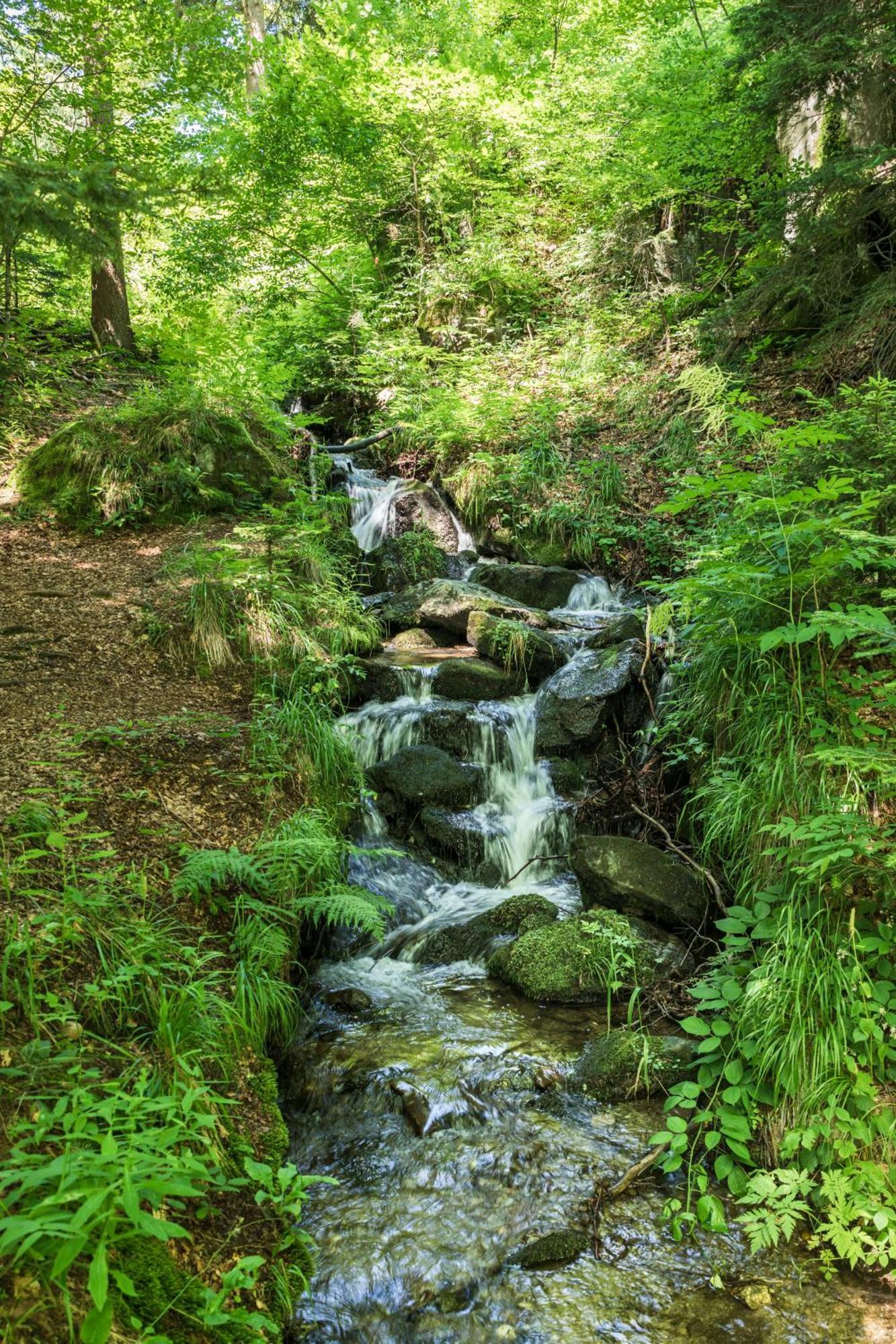 Zgornje Hoce Chalet Anra Pohorje מראה חיצוני תמונה
