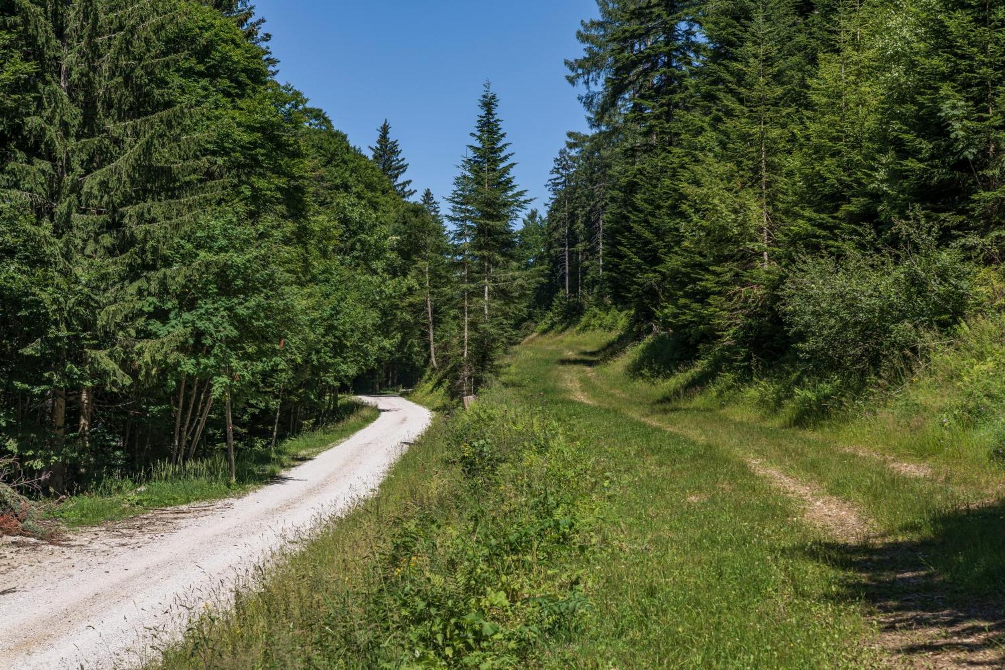 Zgornje Hoce Chalet Anra Pohorje מראה חיצוני תמונה